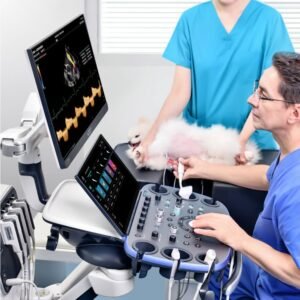 Diagnostic Equipment